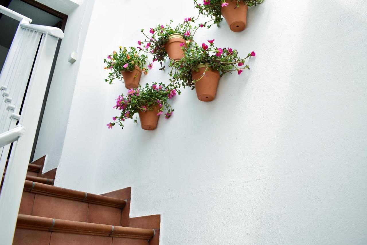 Casa Calma Ronda Estudio Apartment ภายนอก รูปภาพ